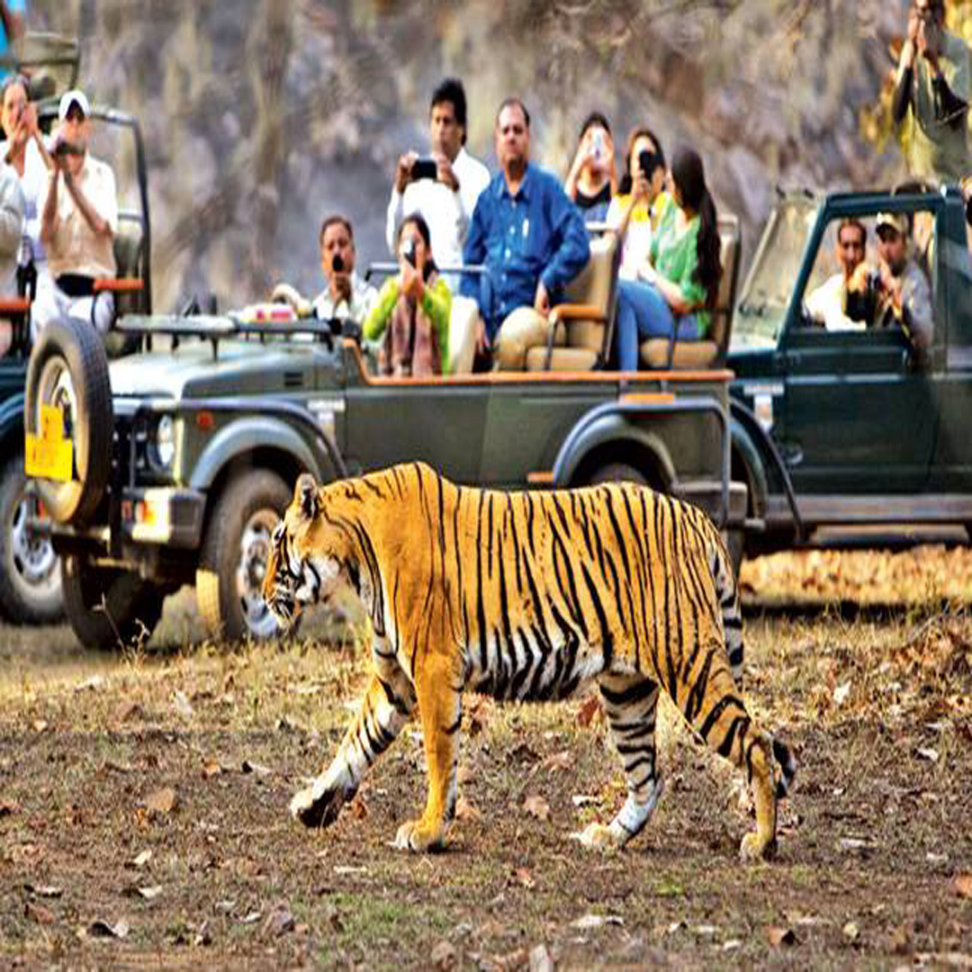 Corbett Tour 
