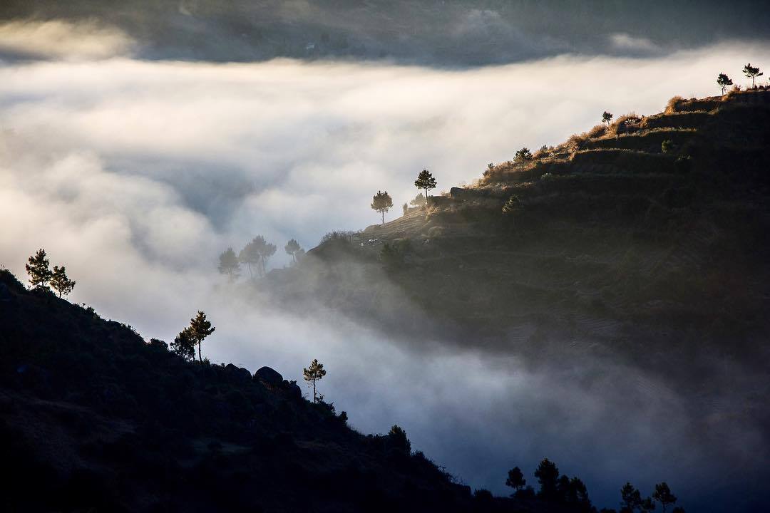 Abode of The Clouds