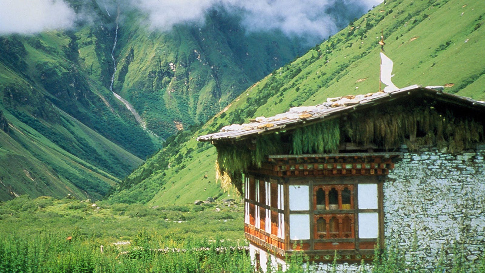 Jewel Of Himalaya