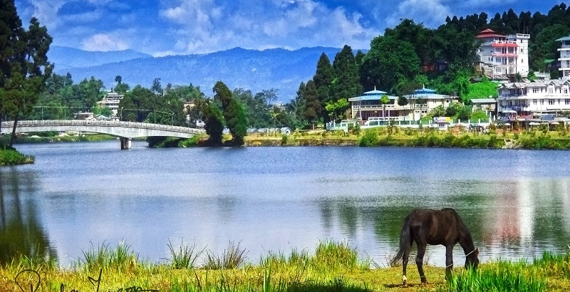 Exquisite North East