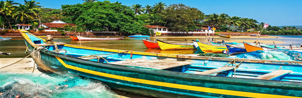 Amazing Goa Trip